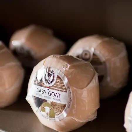 阿姆斯特丹西泰兹酒店 3* 阿姆斯特丹